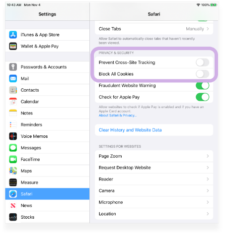 iPhone Settings Menu with Safari settings opened